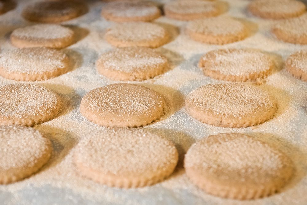 Santa Fe-New Mexico-Usa. State cookie-bizcochito